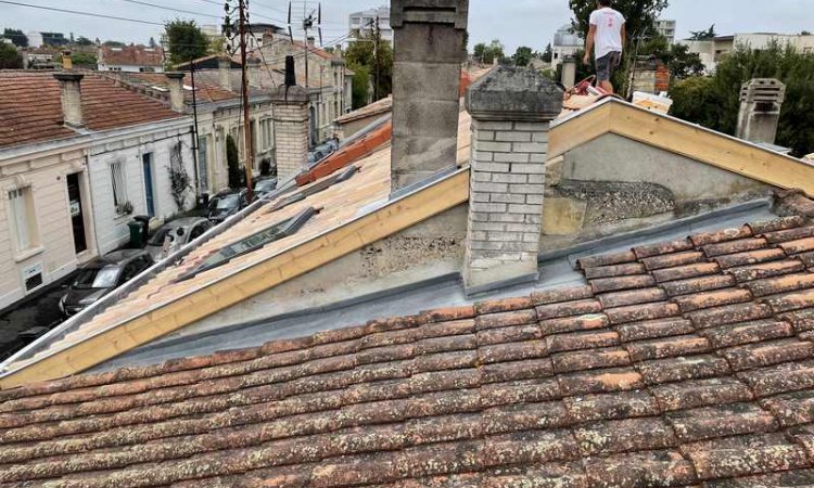 Démoussage d'une toiture - Pessac - PELTIN COUVERTURE